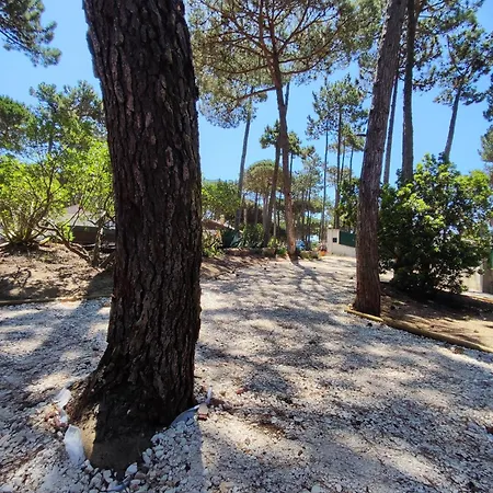 Casa Do Bosque Holiday home *