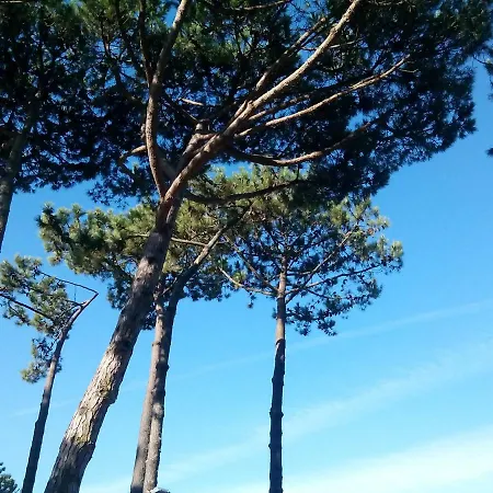 Casa Do Bosque
